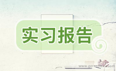 国际物流实践报告_国际物流实训总结报告_国际物流实训报告